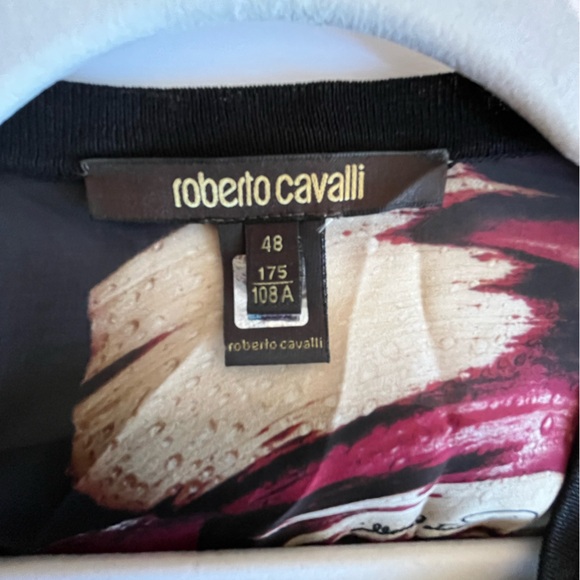 Sexy silk Roberto Cavalli deep v-neck silk tunic, sz ZL - Picture 2 of 5